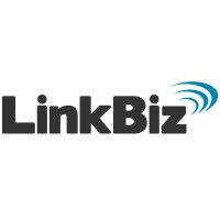 LinkBiz - Marketing de Performance - Agência Digital Logo
