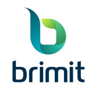Brimit. Digital platform engineering Logo
