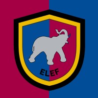Silver Elephant Mining Corporation Logo
