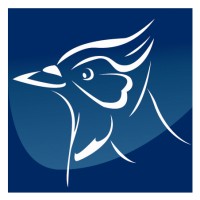 COLASSE SA Logo