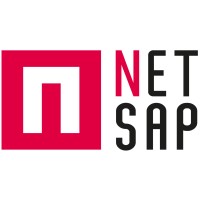 NETSAP SPRL Logo