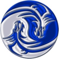 PNO Belastingadvies Logo