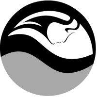 Body & Soul Health and Fitness Logo