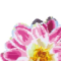 Le Zig Le Zag (Sherry Kennedy) Logo
