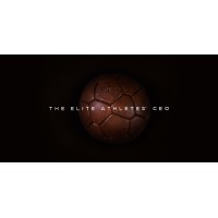 STIRR ASSOCIATES Logo