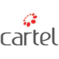 Cartel IT Solutions LLC Logo