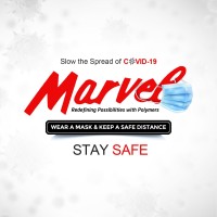 Marvel Vinyls Limited Logo
