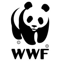 WWF-Netherlands (Wereld Natuur Fonds) Logo