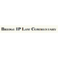 BRIDGE IP COMMENTARY Logo
