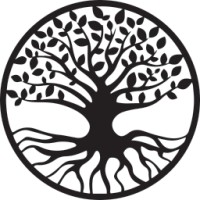 DCCS Management & Consulting Logo