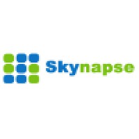 Skynapse Business Technology Pte. Ltd. Logo