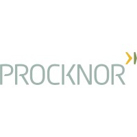 Procknor Engenharia Ltda Logo