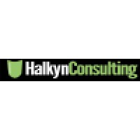 Halkyn Consulting Ltd Logo