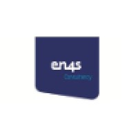 EN4S Consultancy BV Logo
