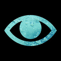 Jansen & Janssen Logo
