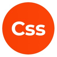 CSS - Connection Soft Service Logo