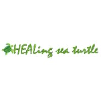 HEALing sea turtle LLC Logo