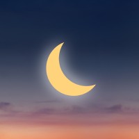 Eight Moon™ Logo