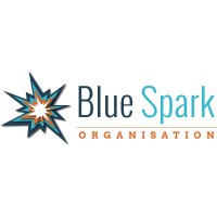Blue Spark Organisation Ltd Logo