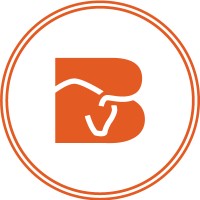 Bull Marketing S.A.S Logo