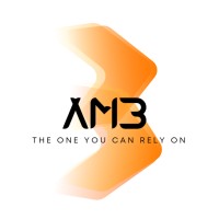 The AM3 Group Inc Logo
