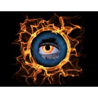 IRIS Fire Investigations, Inc. Logo