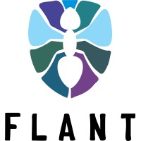 Flant Logo