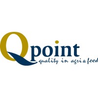 Q-Point B.V. Logo