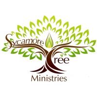 Sycamore Tree Ministries Logo