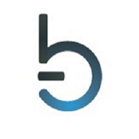 Bleecker Consulting Group Logo