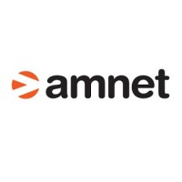 Amnet Programmatic Experts for dentsu international Logo