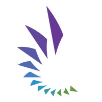 Capital Innovators Logo
