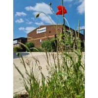 Phoenix County Metals Logo