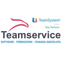 Teamservice srl - Star Partner TeamSystem Logo