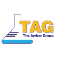 The Amber Group, LLC Logo