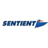Sentient Vision Systems Logo