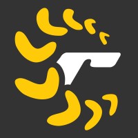 RapidStudio Logo