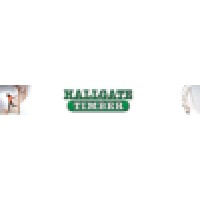 Hallgate Timber Ltd Logo