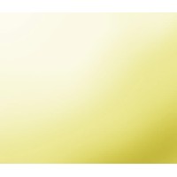 Lauren Silva Group, Inc. Logo