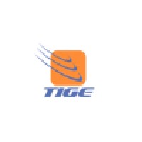 TIGE Tecnologia, Informação e Gestão Empresarial Ltda. Logo