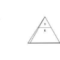 Saluki Environmental LLC Logo