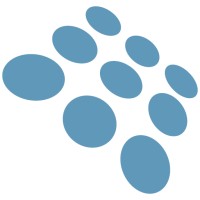 Rise Display Logo