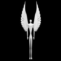 VirtuaL CompanY Logo