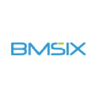 BMSIX Logo