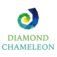 Diamond Chameleon Group, LLC Logo