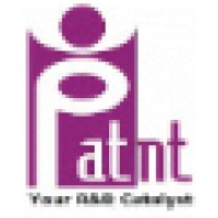 PatInt Solutions India Pvt. Ltd. Logo