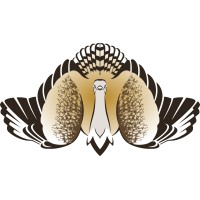 International Fund for Houbara Conservation (IFHC) Logo
