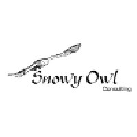Snowy Owl Consulting, LLC Logo