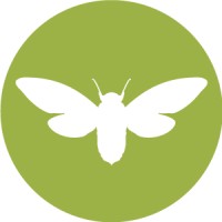 Cicada Creative Logo