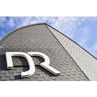 DOMINIQUE RIGO Logo